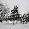 la grande nevicata del febbraio 2012 134